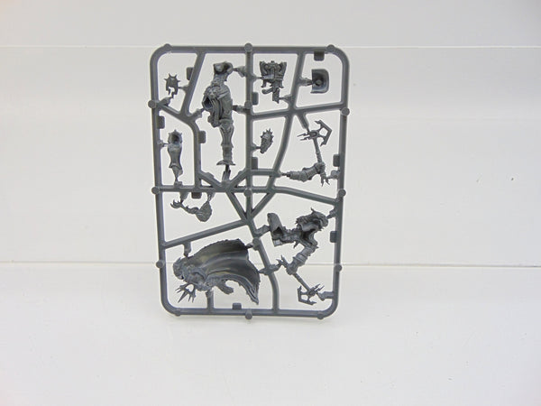 Knight Zephyros / Neave Blacktalon