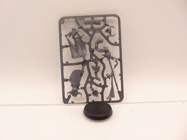 Shardspeaker of Slaanesh