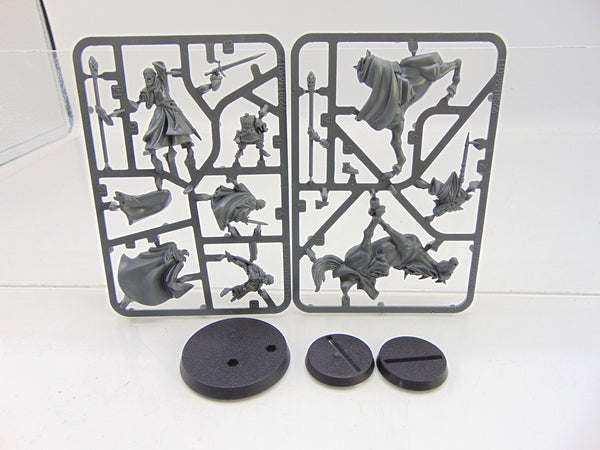 Gandalf the White and Peregrin Took