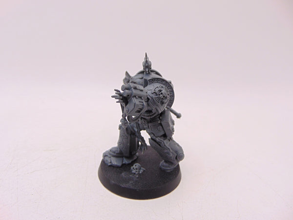 Librarian in Terminator Armour