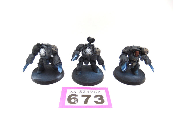 Terminator Assault Squad