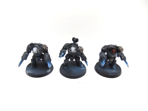 Terminator Assault Squad