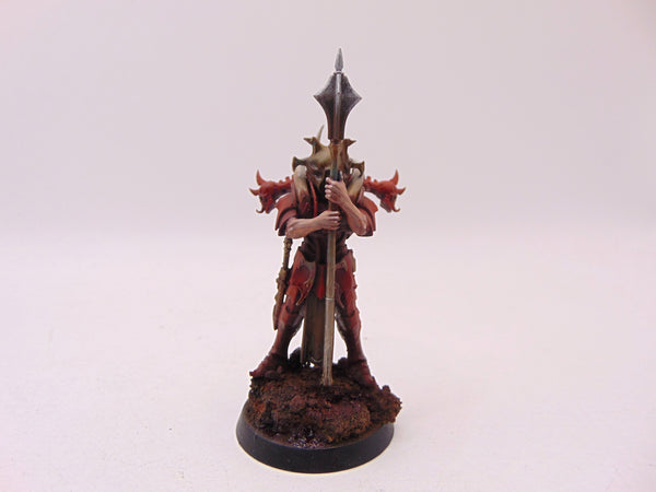 Aspiring Champion Conversion