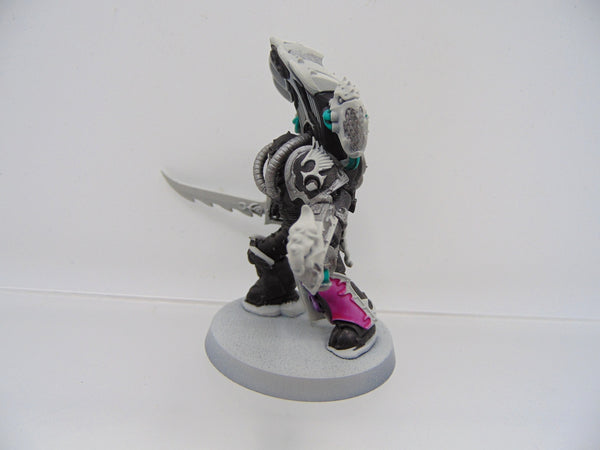 Lord Kakophonist