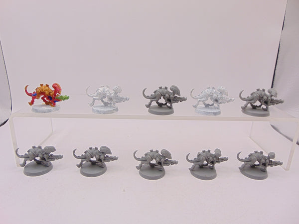 Termagants
