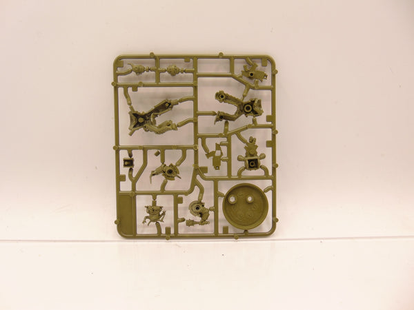 Kholerus
