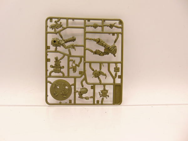Kholerus