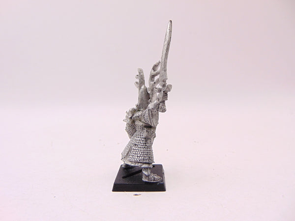 High Elf Hero with Sword