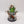 Slann Starmaster