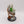 Slann Starmaster