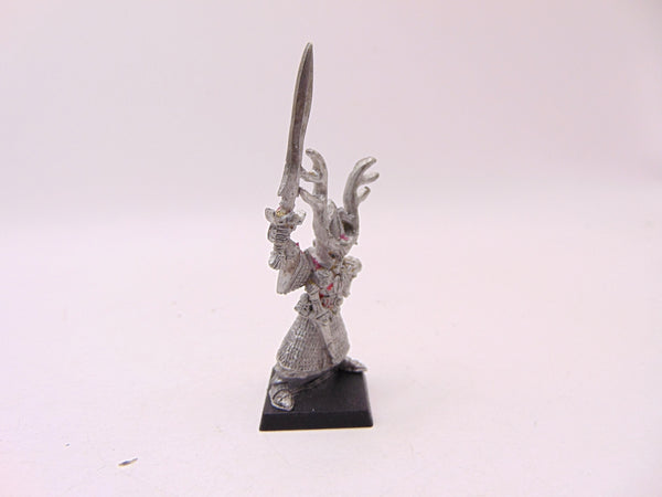 High Elf Hero with Sword