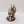 Slann Starmaster