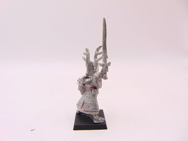 High Elf Hero with Sword