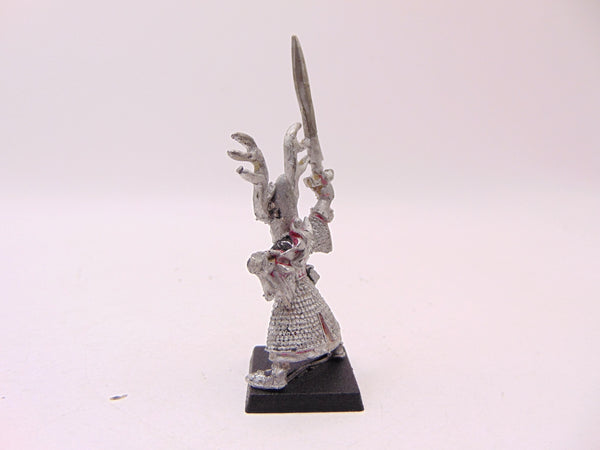 High Elf Hero with Sword