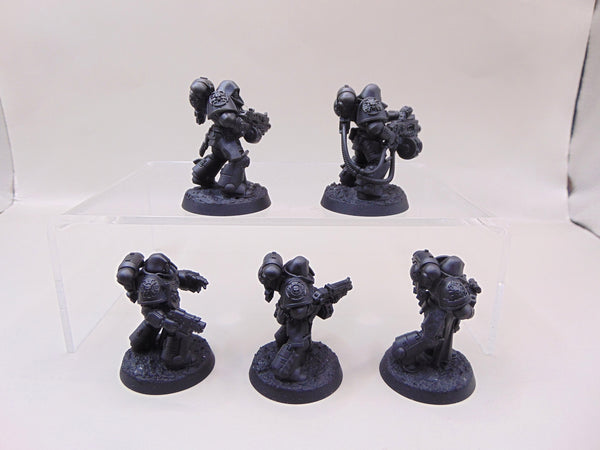 Sternguard Veterans