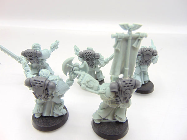 Space Marines Veterans