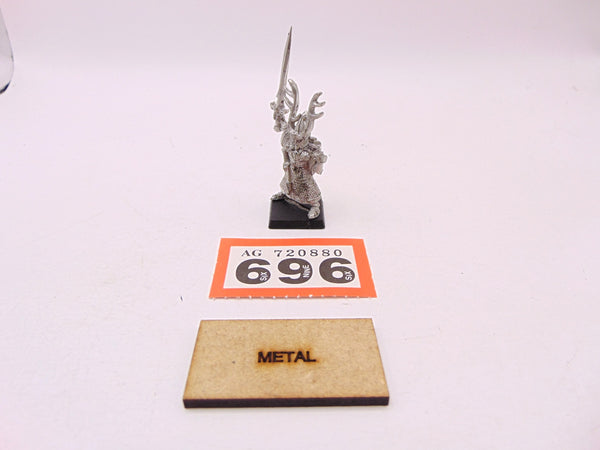 High Elf Hero with Sword