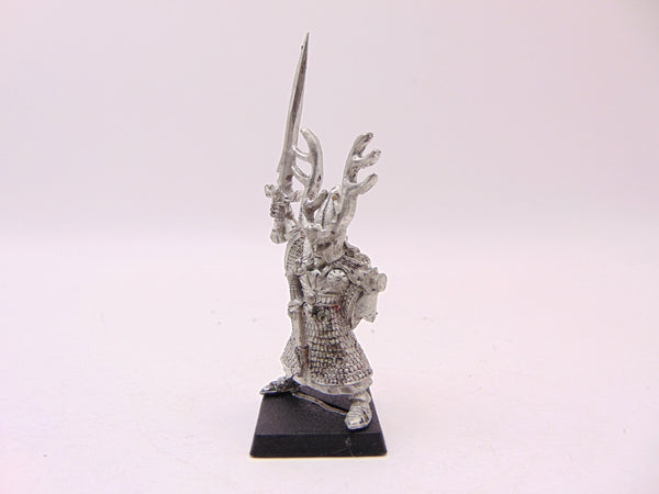 High Elf Hero with Sword