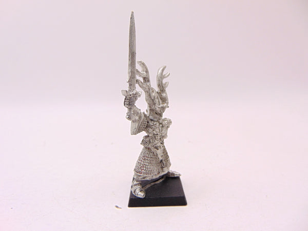 High Elf Hero with Sword