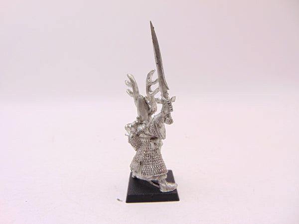 High Elf Hero with Sword