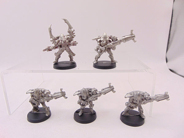 Warp Spiders