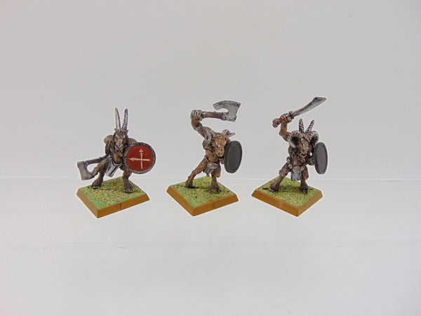 Beastmen / Gors