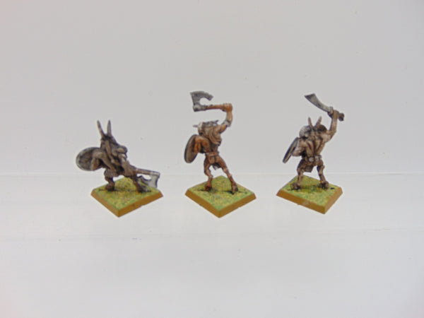 Beastmen / Gors