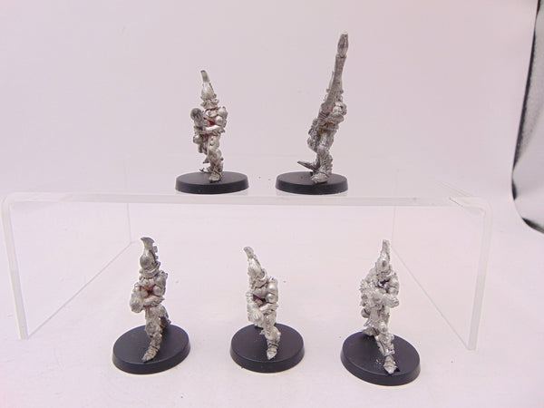 Fire Dragons