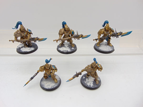 Custodian Guard Squad