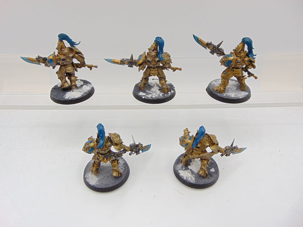 Custodian Guard Squad