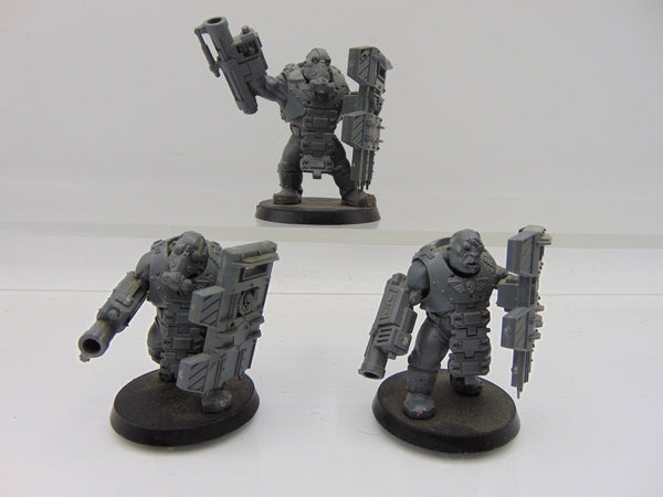 Bullgryns