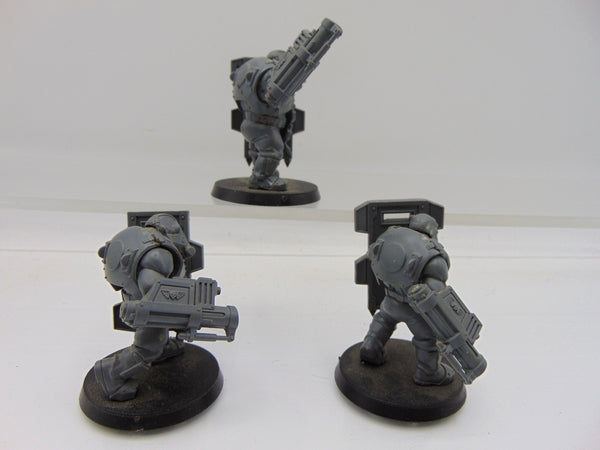 Bullgryns
