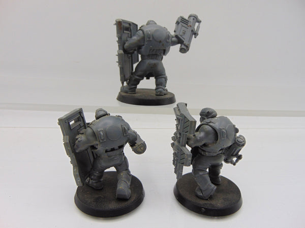 Bullgryns