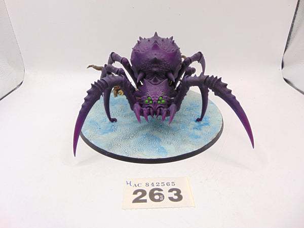 Skitterstrand Arachnarok