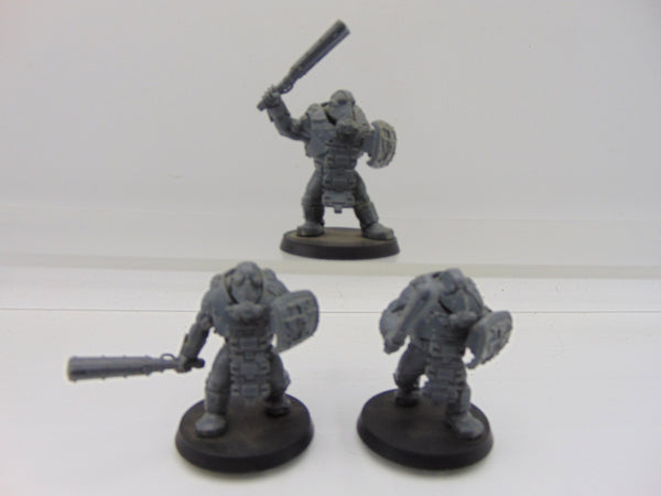 Bullgryns