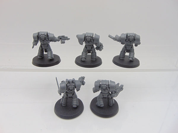 Cataphractii Terminator Squad