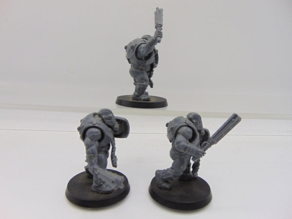 Bullgryns