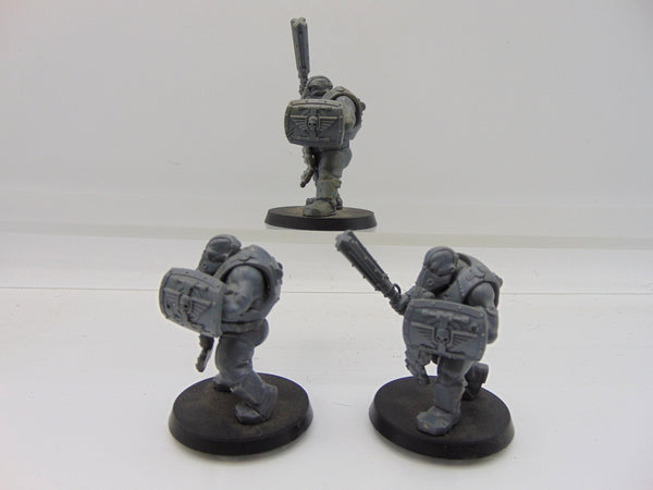 Bullgryns
