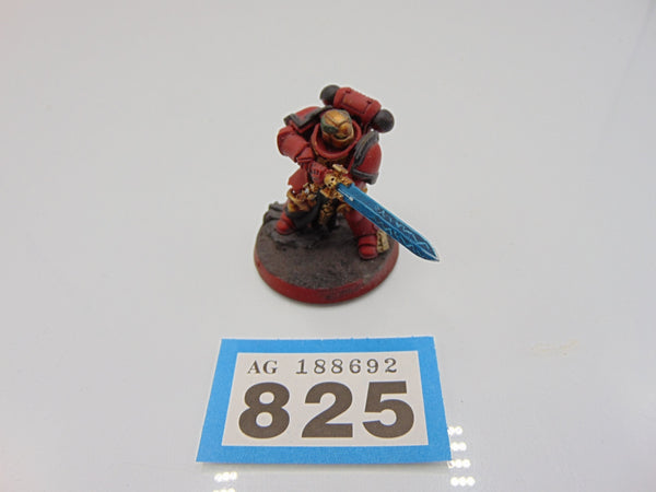 Primaris Company Champion