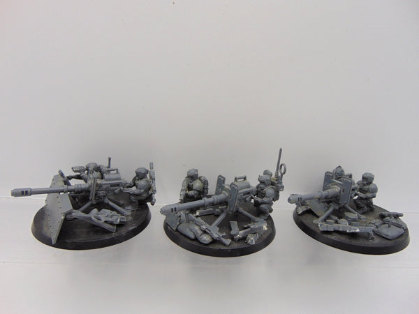 Cadian Heavy Weapon Squad