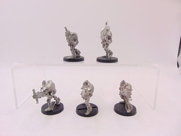 Warp Spiders