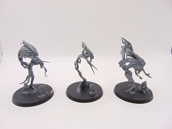 Spirit Hosts