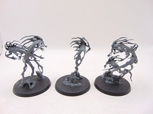 Spirit Hosts