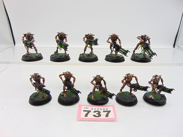 Necron Warriors