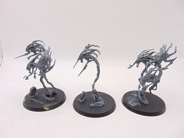 Spirit Hosts