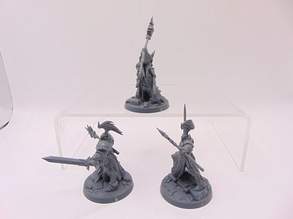 Stormsire's Cursebreakers