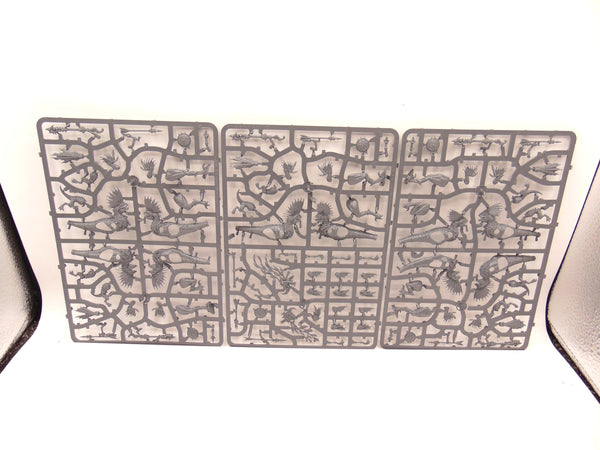 Raptadon Chargers / Hunters