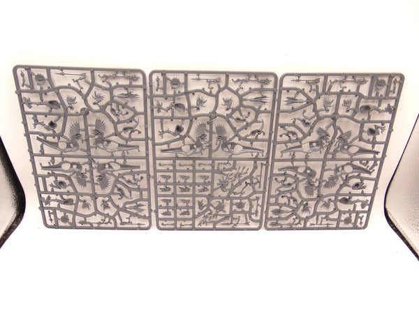 Raptadon Chargers / Hunters