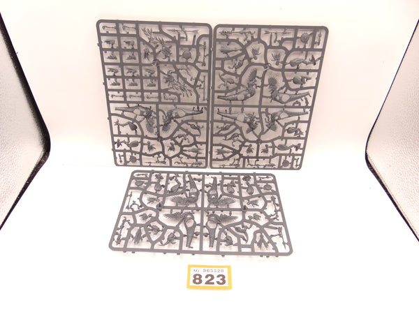 Raptadon Chargers / Hunters