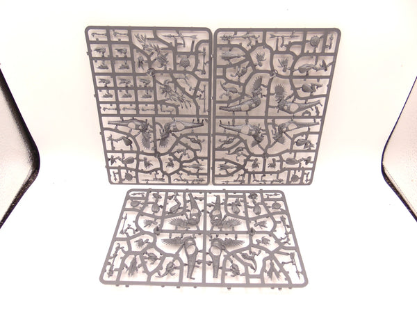 Raptadon Chargers / Hunters